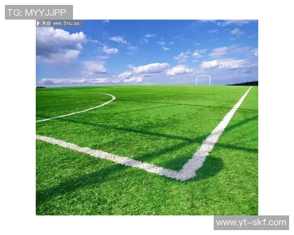 《从草地到绿茵场：一位足球巨星的成长与奋斗之路》